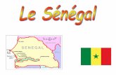 Ppt Senegal