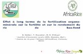 Th2_Effet à long terme de la fertilisation organo-minérale sur la fertilité et sur le rendement du riz de bas-fond