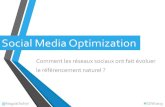 Social Media Optimization par Naguib Toihiri