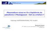 Plasmodium vivax en fin d’épidémie de paludisme à Madagascar : fait ou artefact ?