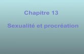 Chap13 sexualité procréation