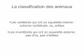 La classification des animaux