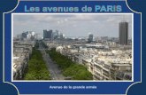347- Les avenues de Paris