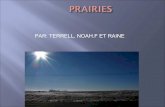 Prairie Pptx