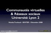 Communautés virtuelles et réseaux sociaux à l'université Lyon 2