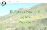 Parque nacional de los pirineos