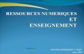 Presentation de ressources numeriques mars 2010
