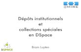 Dépôts institutionnels et collections spéciales en DSpace