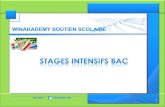 WinAkademy Soutien Scolaire : Stages Intensifs BAC
