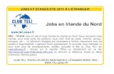 Affiches offres de jobs d'été et stage d'été 2011