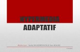 Adaptative hypermedia (par MALKI Sara et MAKSIMOVICH Aleksandra)