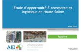 Rpport sur le E-commerce en Haute-Saône