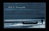 La mar - Bella, unica y terrible
