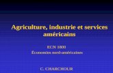 Theme 5 agriculture, industrie et services