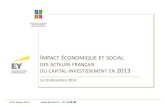 Impact économique et social des acteurs français du capital investissement en 2013