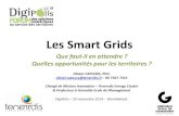 141120 cateura digipolis smart grids France