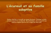 20 Octobre 2008 Forum Le Disponible LéCureuil Et Sa Famille Adoptive