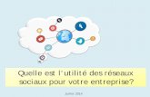 Enquête "Utilité des réseaux sociaux pour les entreprises françaises"
