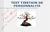 Test tibetain de_persona_