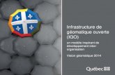 Infrastructure de géomatique ouverte  (IGO)
