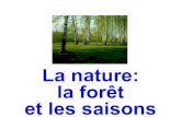 Nature foret et saisons