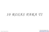 Roberto enrique rincón 10 rosas