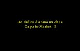 Animaux Chez Captain Market