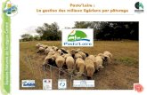 Pasto’Loire : La gestion des milieux ligériens par pâturage