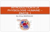 Introduction physiologie partie1
