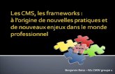 CMS, Framework : à l'origine de nouvelles pratiques et de nouveaux enjeux dans le monde professionnel