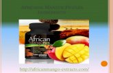 Africaine Mangue Pilules Ingrédients