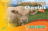 Nouveaux taureaux Champions UCATRC 2012