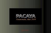 Pacaya, Guatemala [en français] (por: carlitosrangel)
