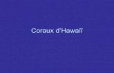 Coraux D  Hawaii S