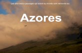 Azores etudiants