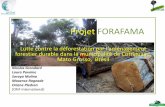 Lutte contre la déforestation par l’aménagement forestier durable dans la municipalité de Cotriguaçu, Mato Grosso,  Brésil