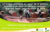 Le sciage artisanal au cœur de la gestion forestière durable en Afrique centrale: état des lieux, opportunités et défis