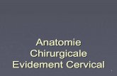 Evidement cervical anatomie chirurgicale