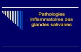 Pathologie inflammatoire des glandes salivaires
