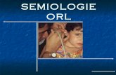 Sémiologie ORL