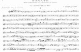 Camille saint saens sonate pour clarinette et piano - op.167