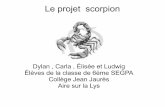 Projet scorpion   6 ème segpa collège jean jaurès aire sur la lys