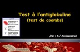 Test à l'antiglobuline