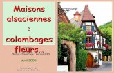 Alsace Maisons   Colombage