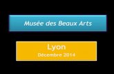 Musée des Beaux Arts Lyon
