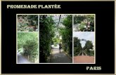 381- Paris-Promenade plantée