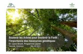 Soutenir les Arbres pour Soutenir la Forêt : l’importance des ressources génétiques