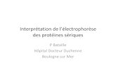 Interpretation de l_electrophorese_des_proteines_seriques