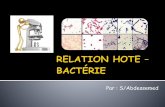 Relation hote – bactérie