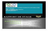 Rapport de stage assurance ASCOBA
